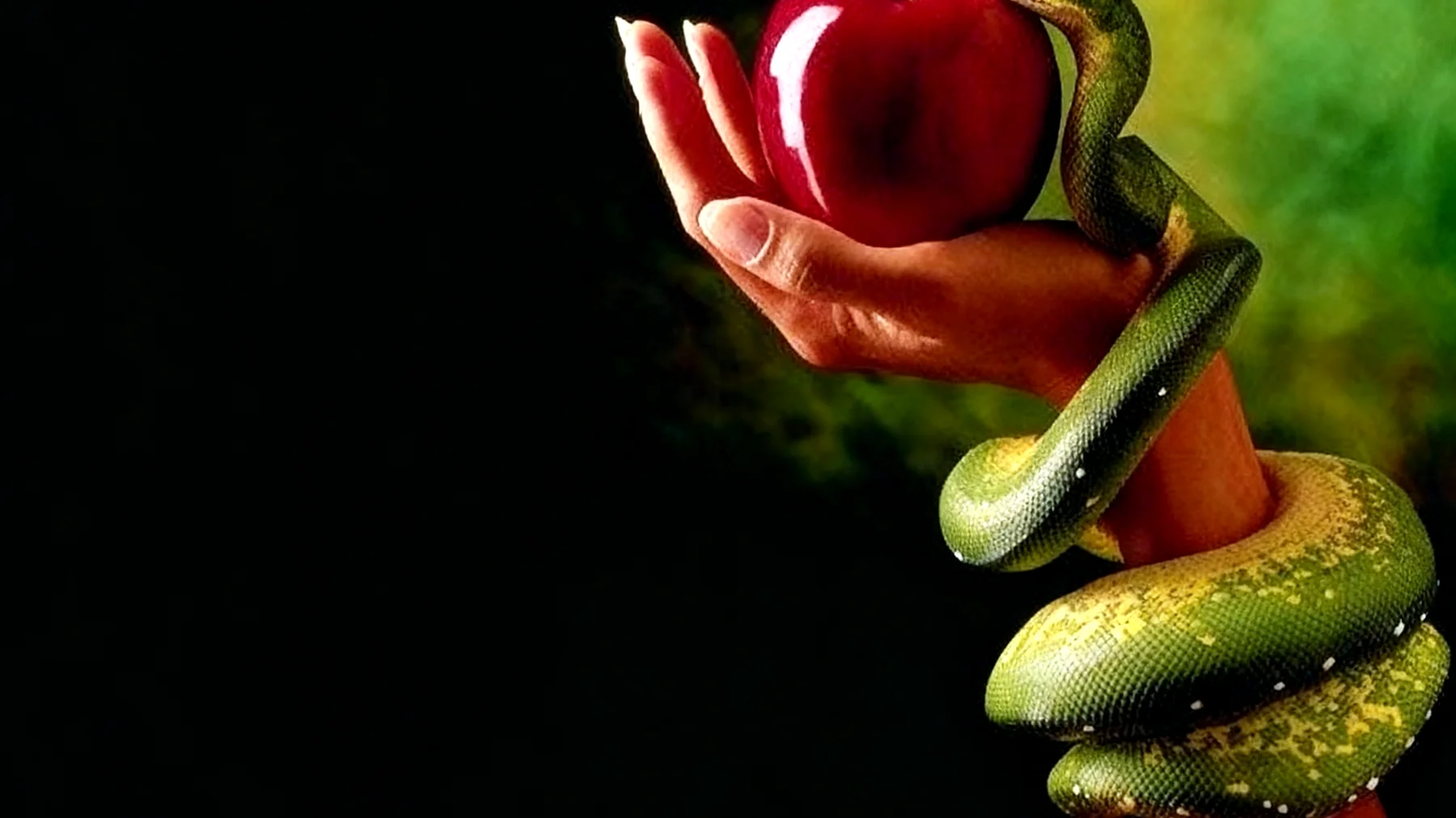 Forbidden Fruit2025-12-16T12:36:34.864Z"