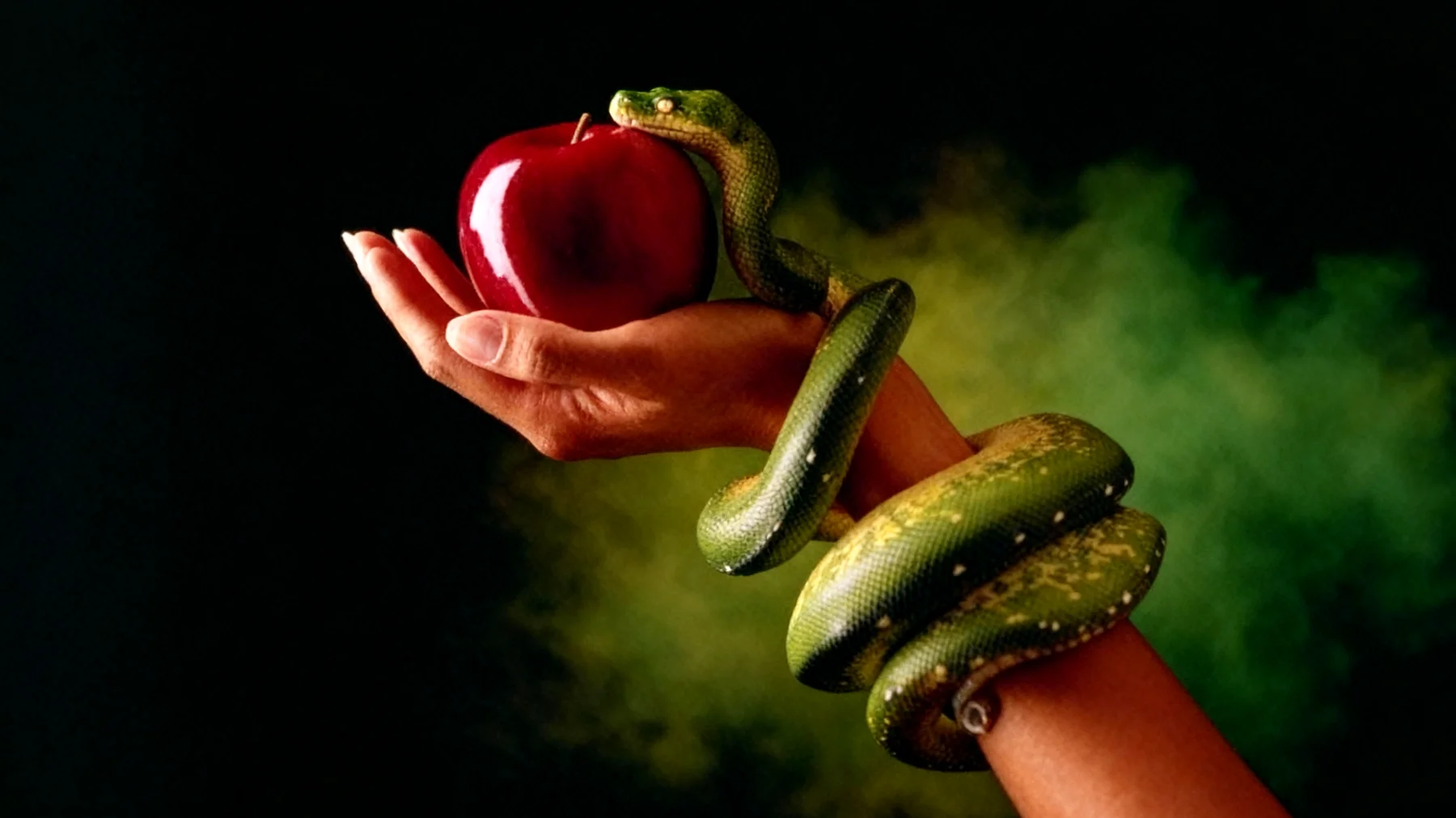 Forbidden Fruit2025-12-21T20:58:11.885Z"