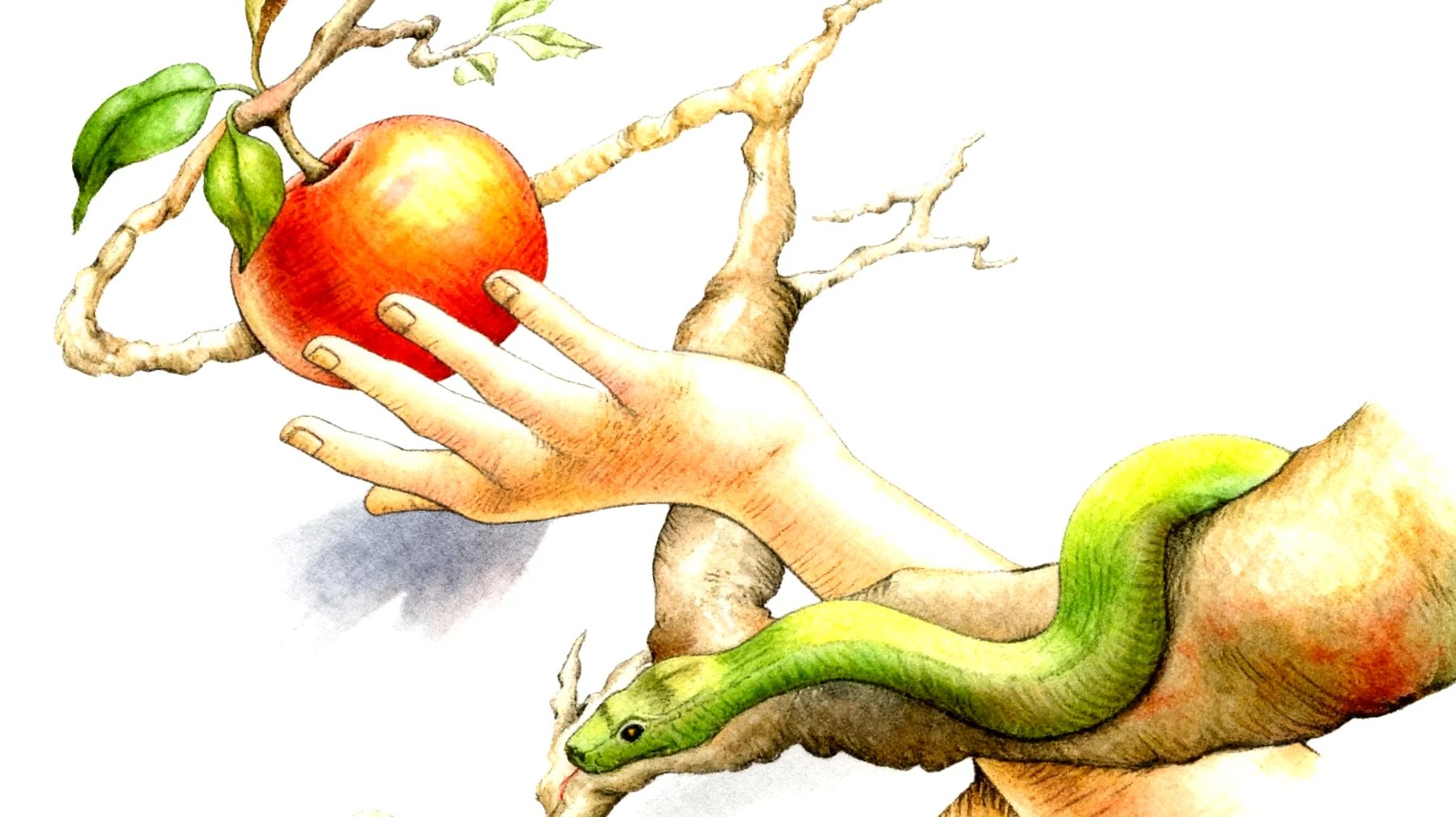 Forbidden Fruit2025-12-23T20:47:46.442Z"