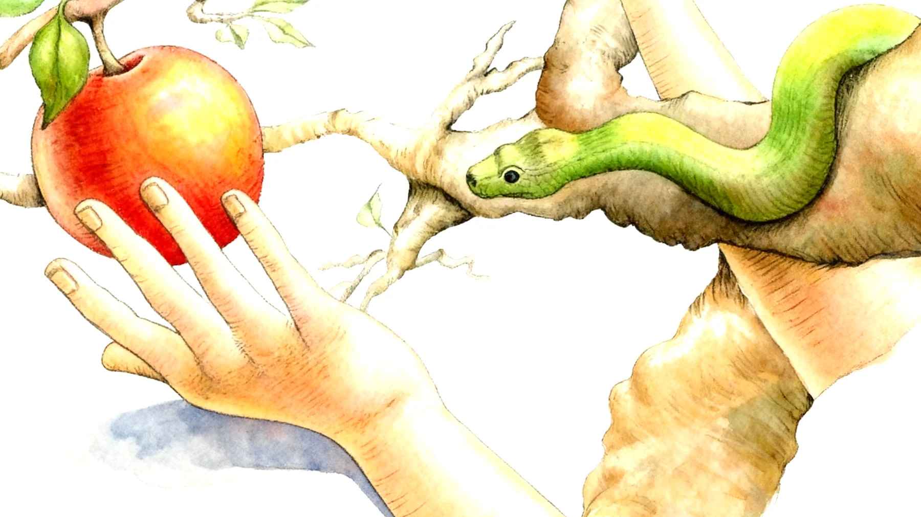 Forbidden Fruit2025-12-27T20:59:41.748Z"