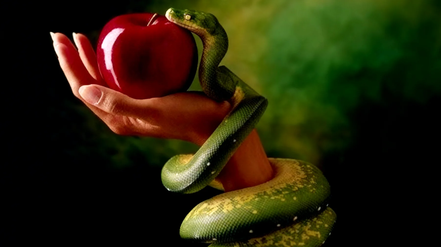 Forbidden Fruit2025-12-29T20:52:40.806Z"