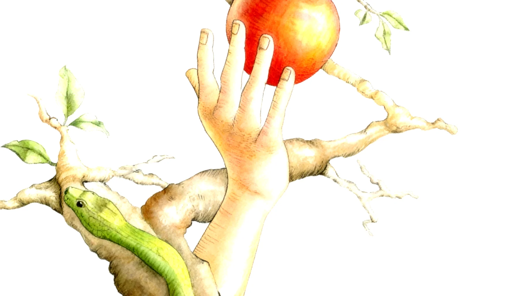 Forbidden Fruit2026-01-01T20:53:59.117Z"