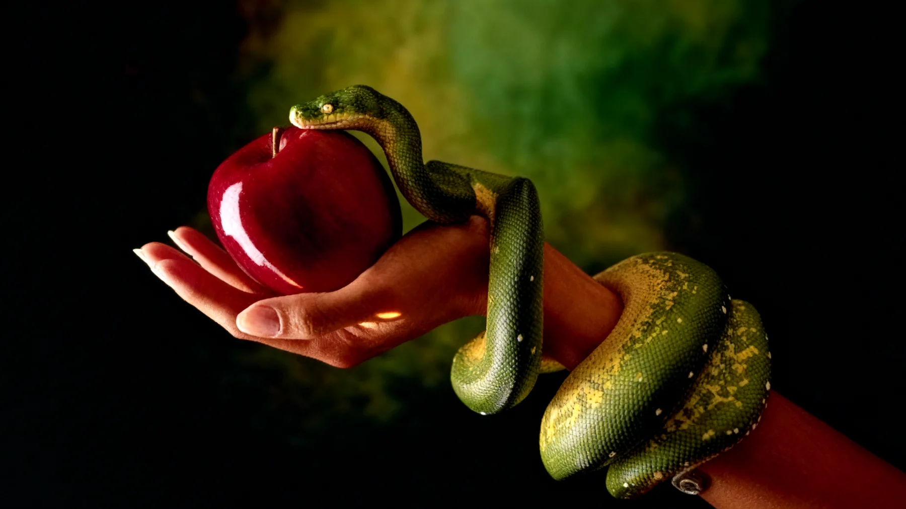 Forbidden Fruit2026-01-07T20:59:31.272Z"