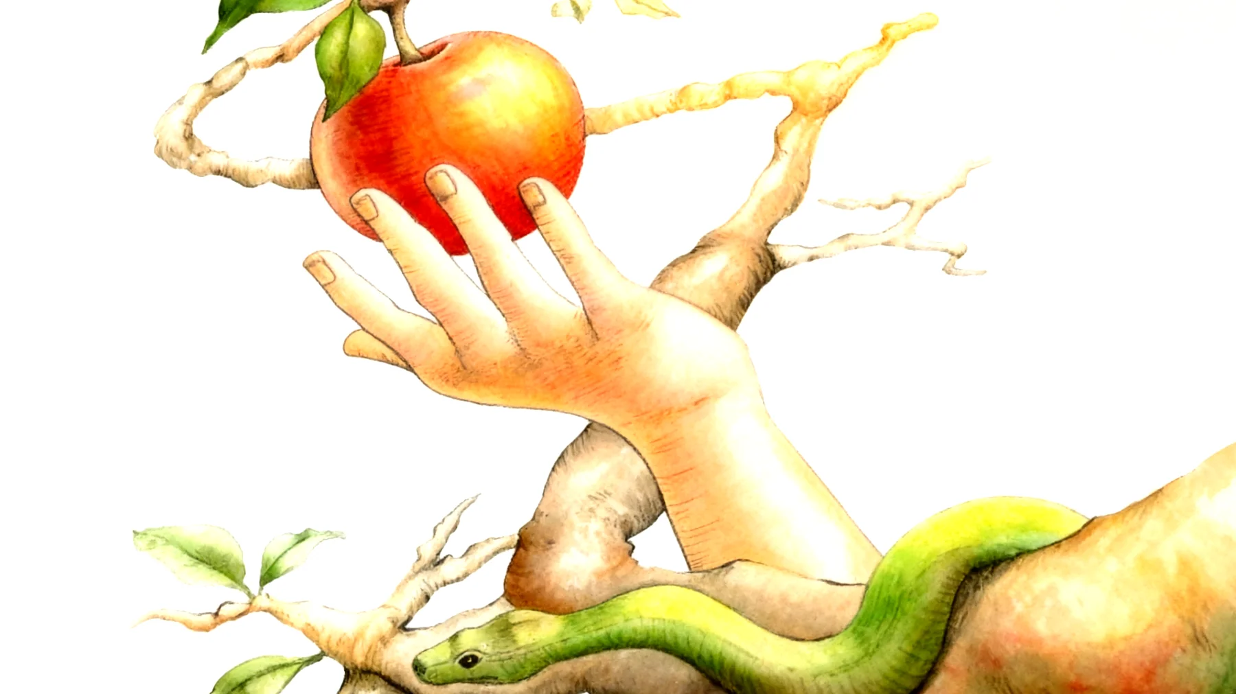 Forbidden Fruit2026-01-12T20:56:37.334Z"