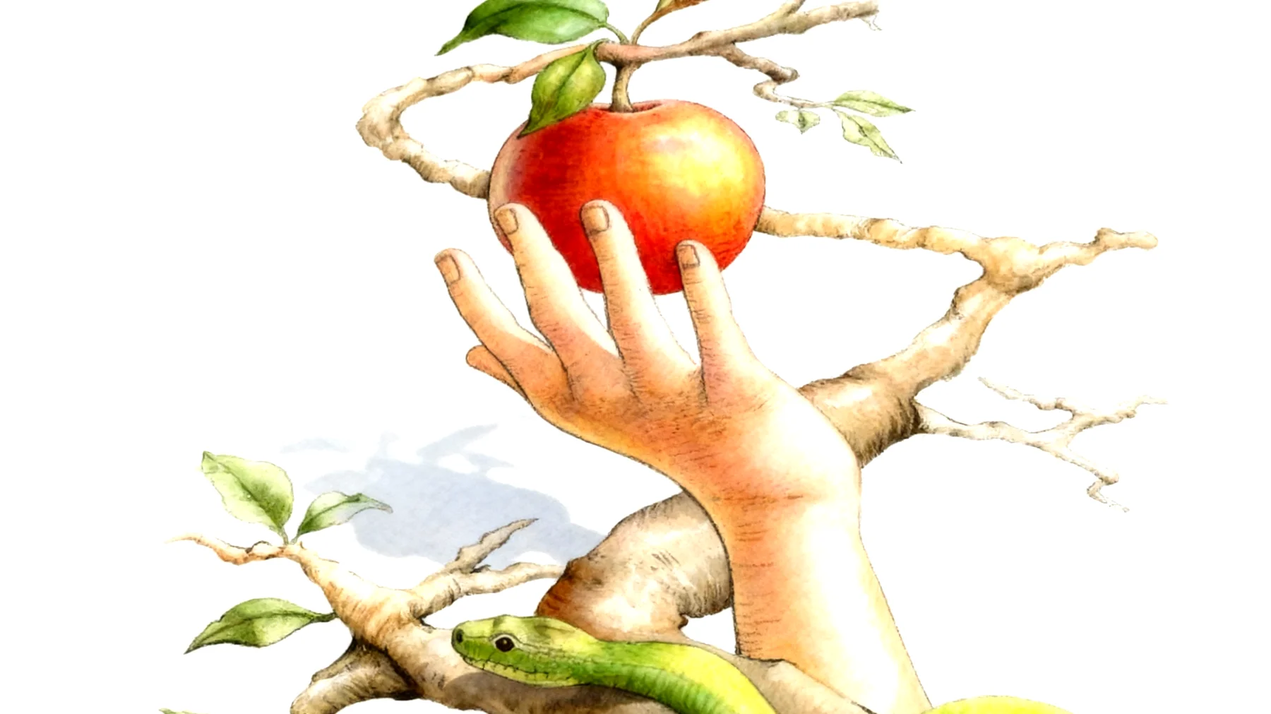 Forbidden Fruit2026-01-13T20:57:08.618Z"